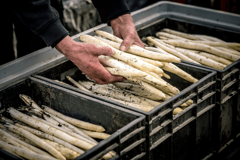 7 verschillende manieren om Belgische asperges te bereiden