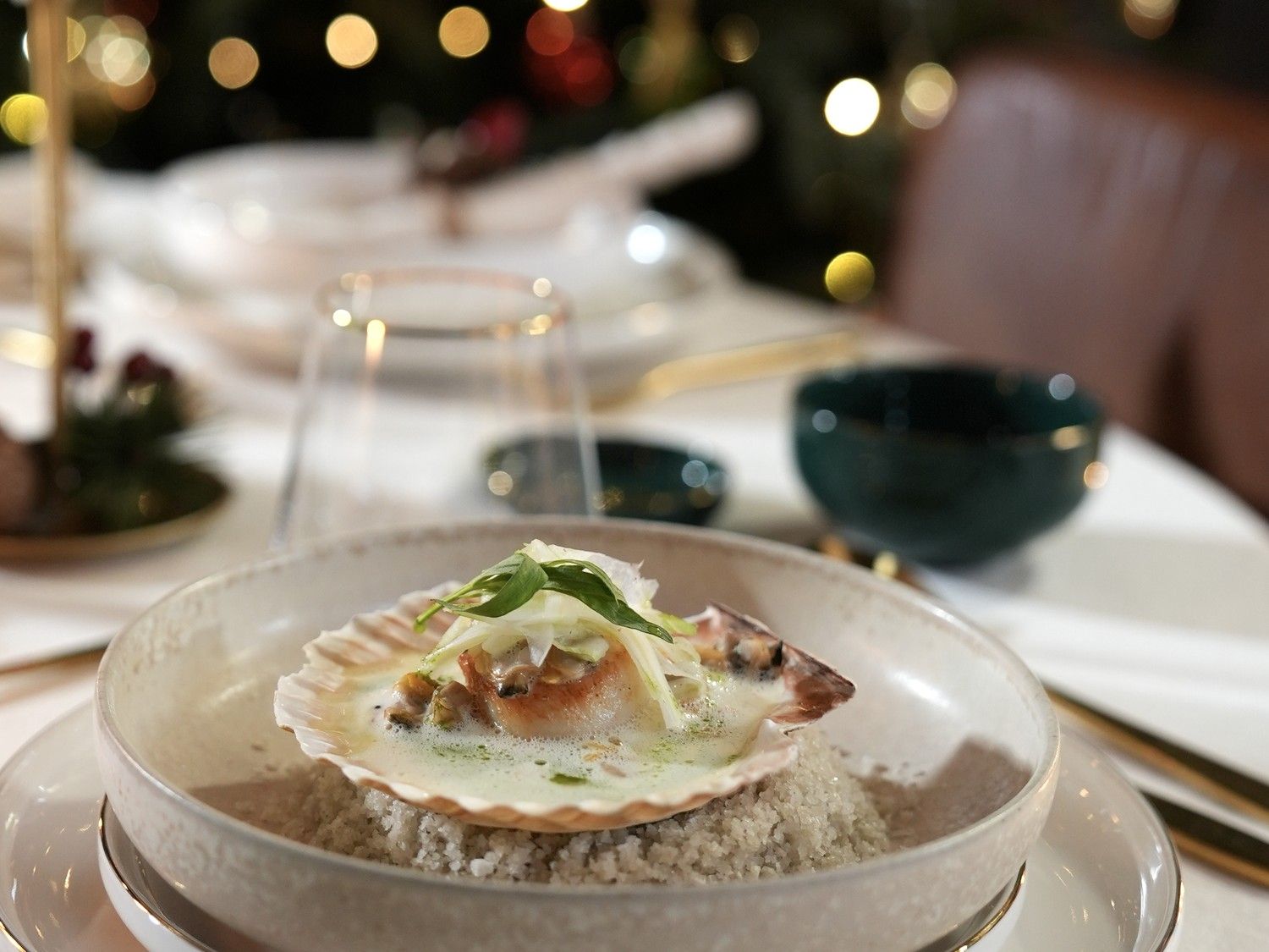 Coquilles à la nage met venusschelpen, venkel en selderolie