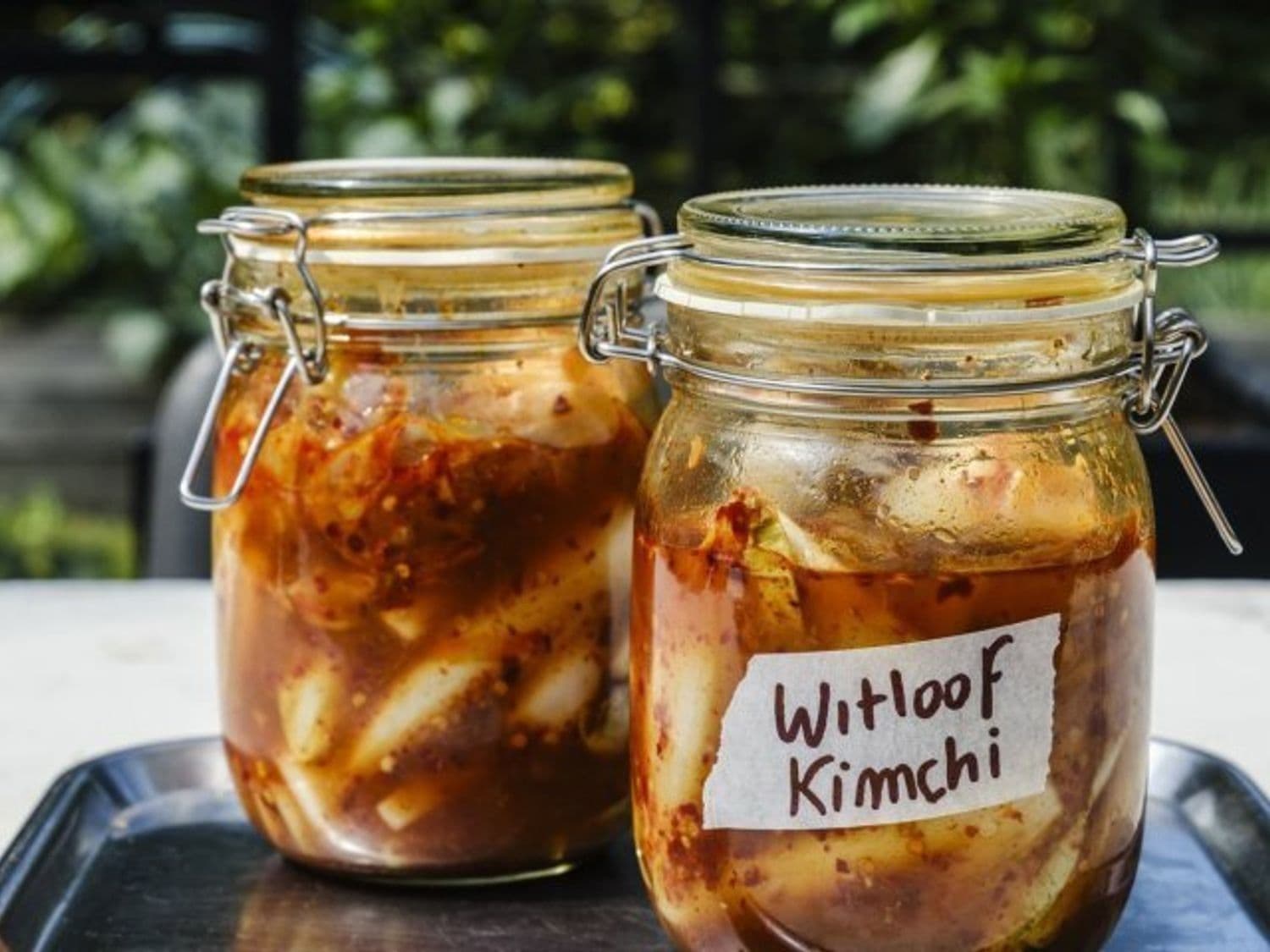 Kimchi van witloof