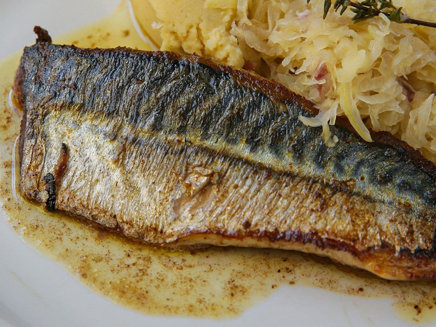 Gebakken makreel met zuurkool en mosterdpuree