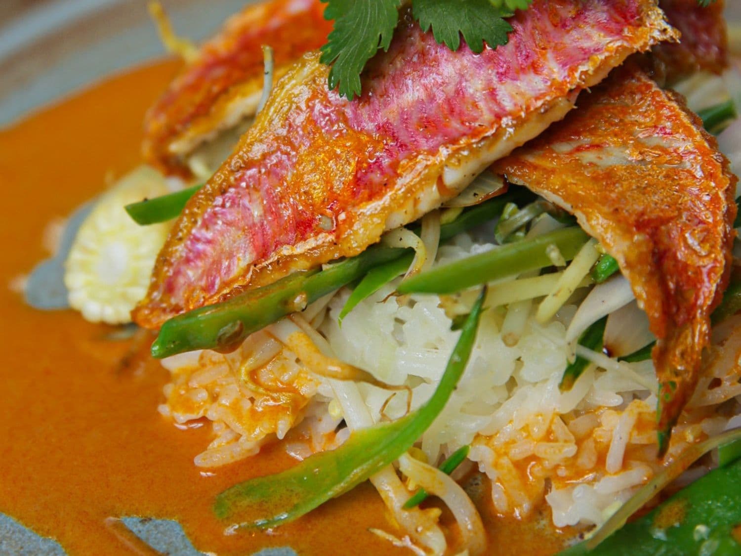 Zeebarbeel met rode curry, gebakken groenten en rijst