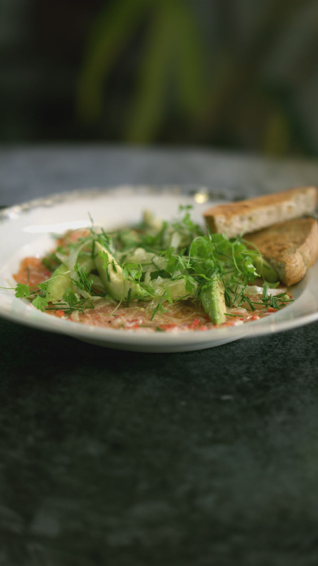 Ceviche van zalm met avocado