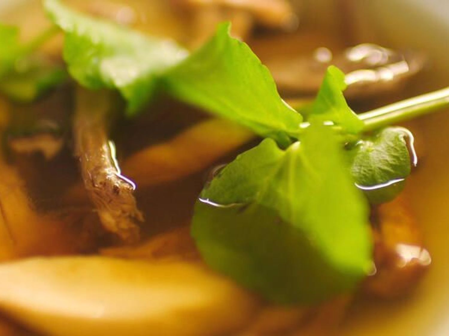 Consommé van boschampignons met gekonfijte eend