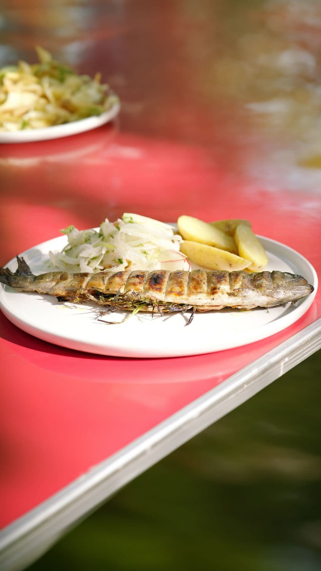 Gegrilde forel met venkelsalade en lauwe aardappelen
