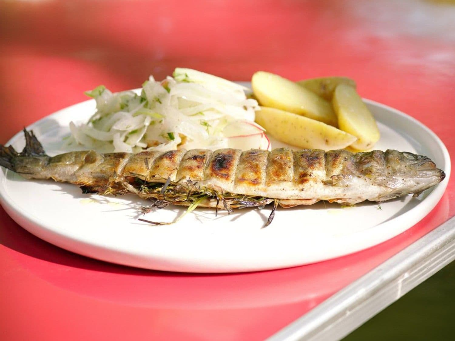 Gegrilde forel met venkelsalade en lauwe aardappelen