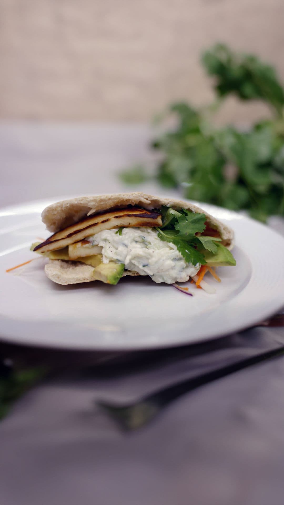 Pitabroodje met halloumi, tzatziki en avocado