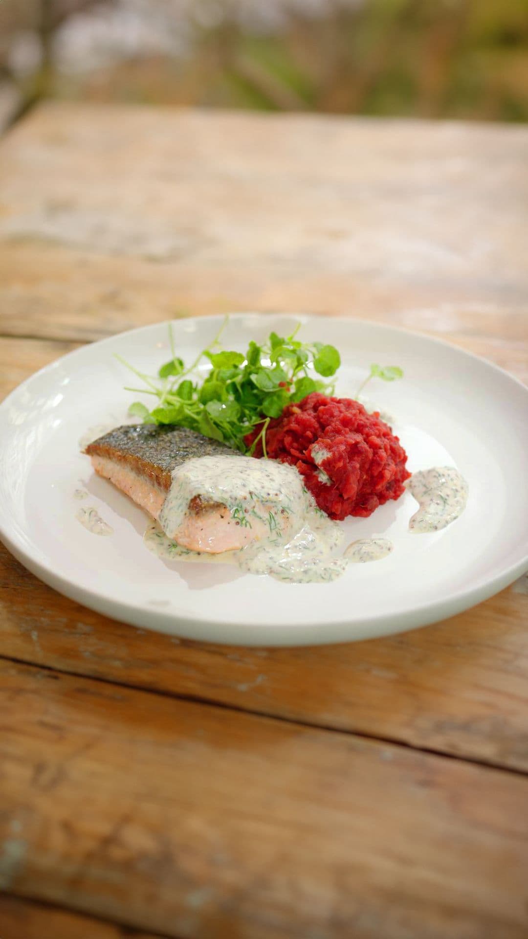 Zalm met stoemp van rode biet en honing-mosterddressing