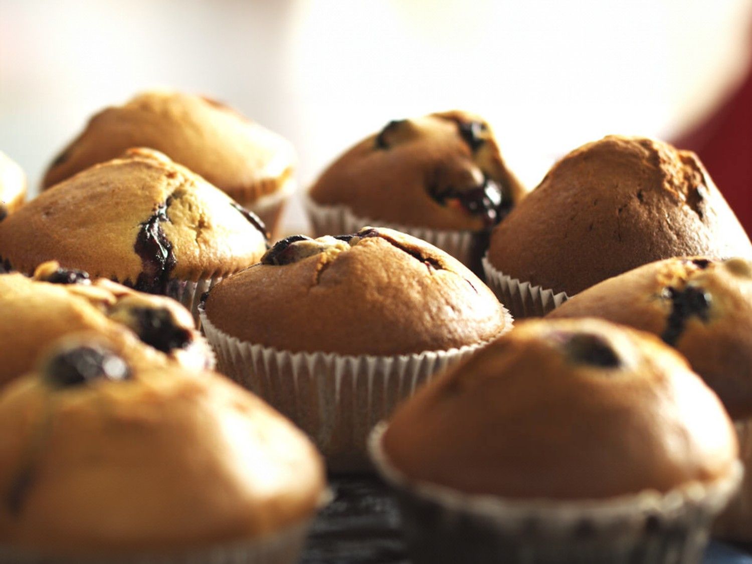 Muffins met bosbessen