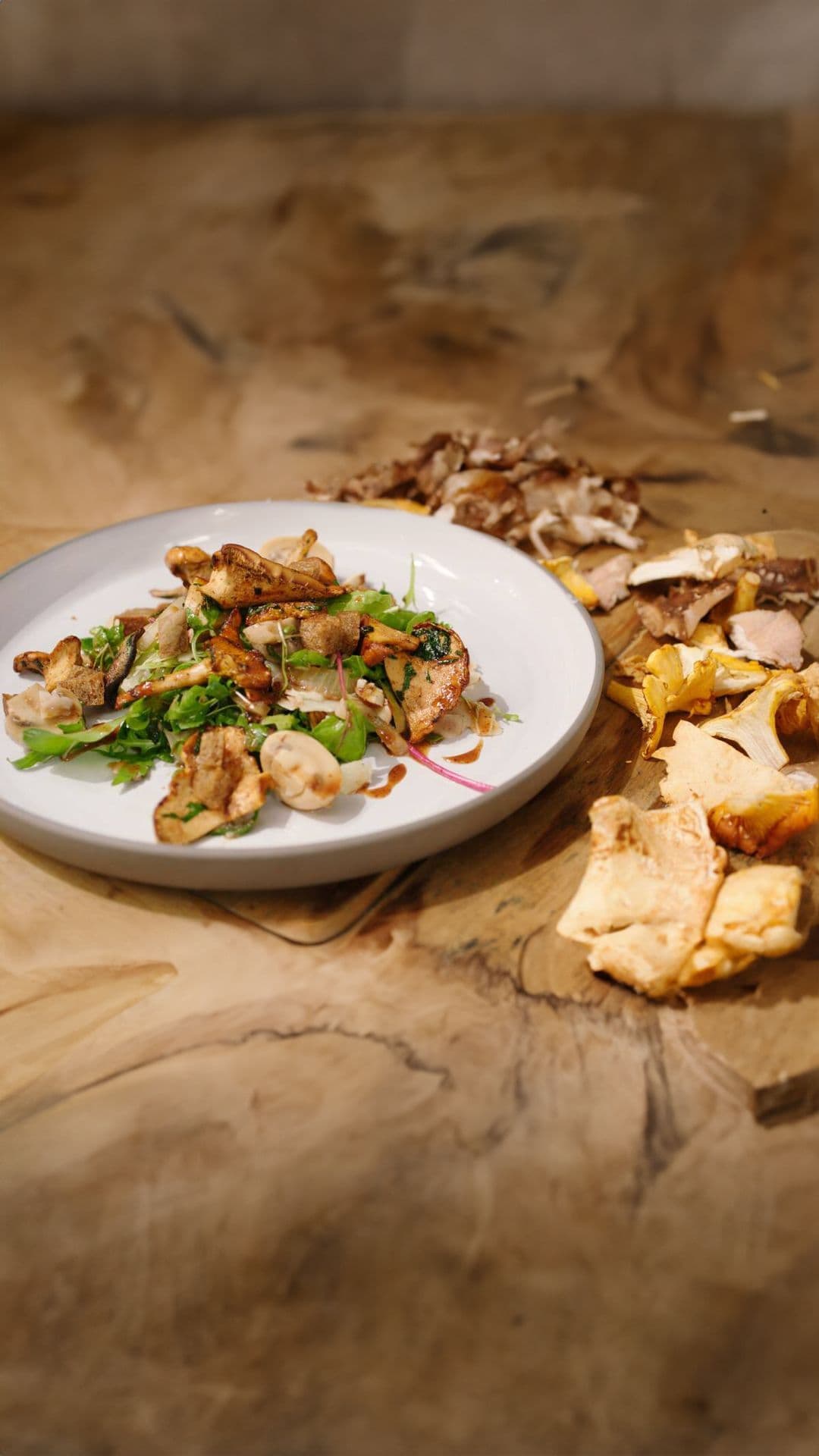 Salade met boschampignons en roggecroutons