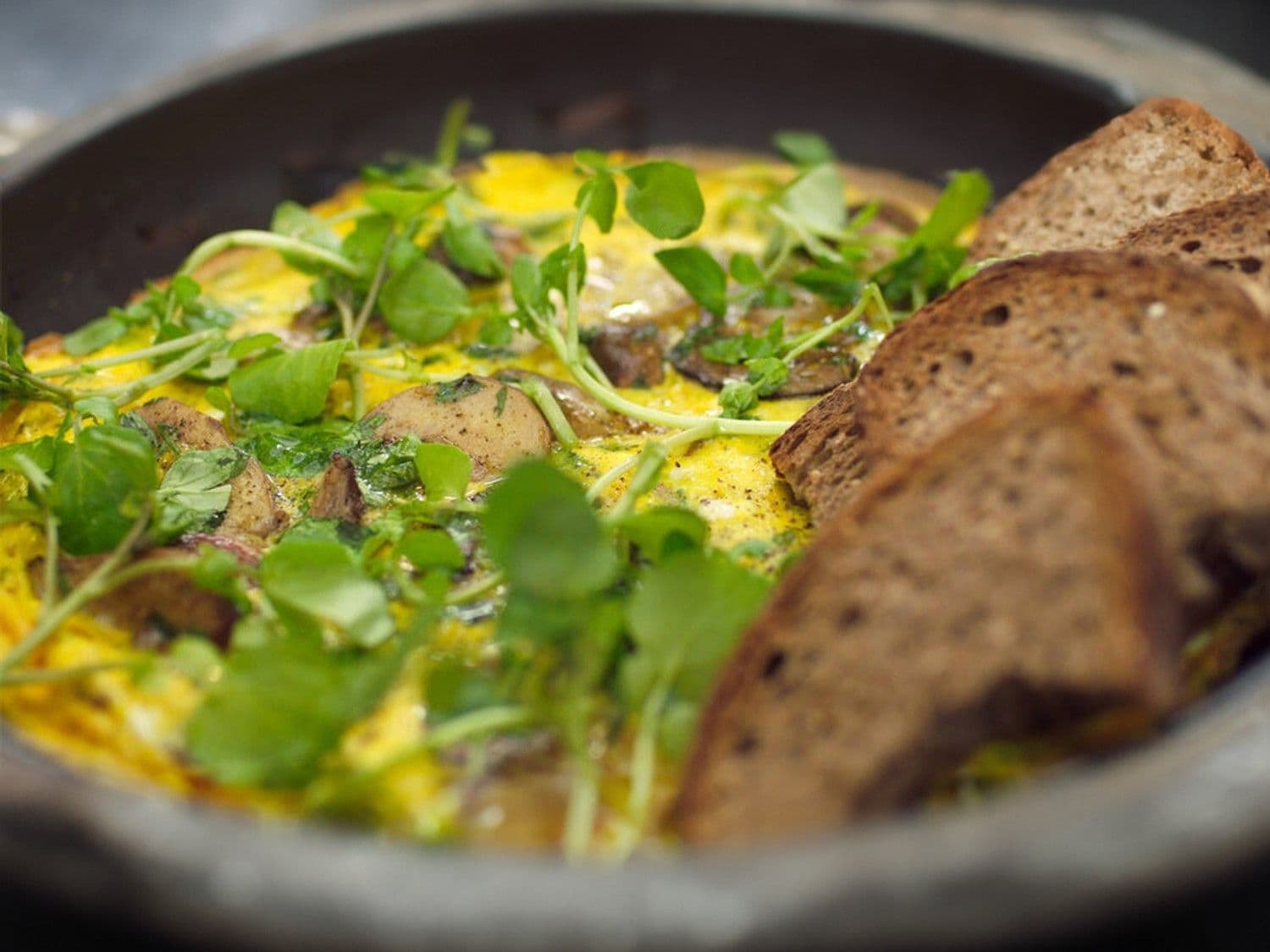 Omelet met eekhoorntjesbrood en peterseliewortel