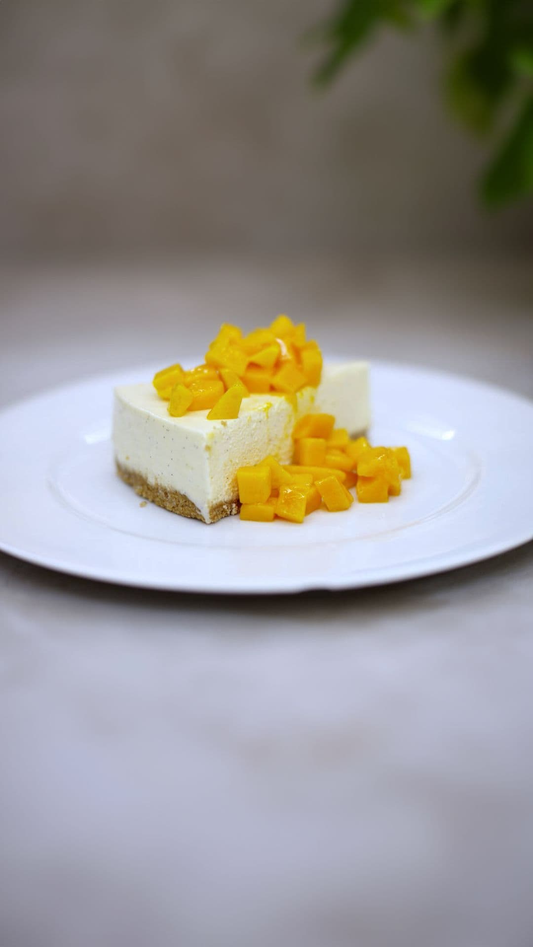 Vanillebavarois met mango en volkoren koekjes