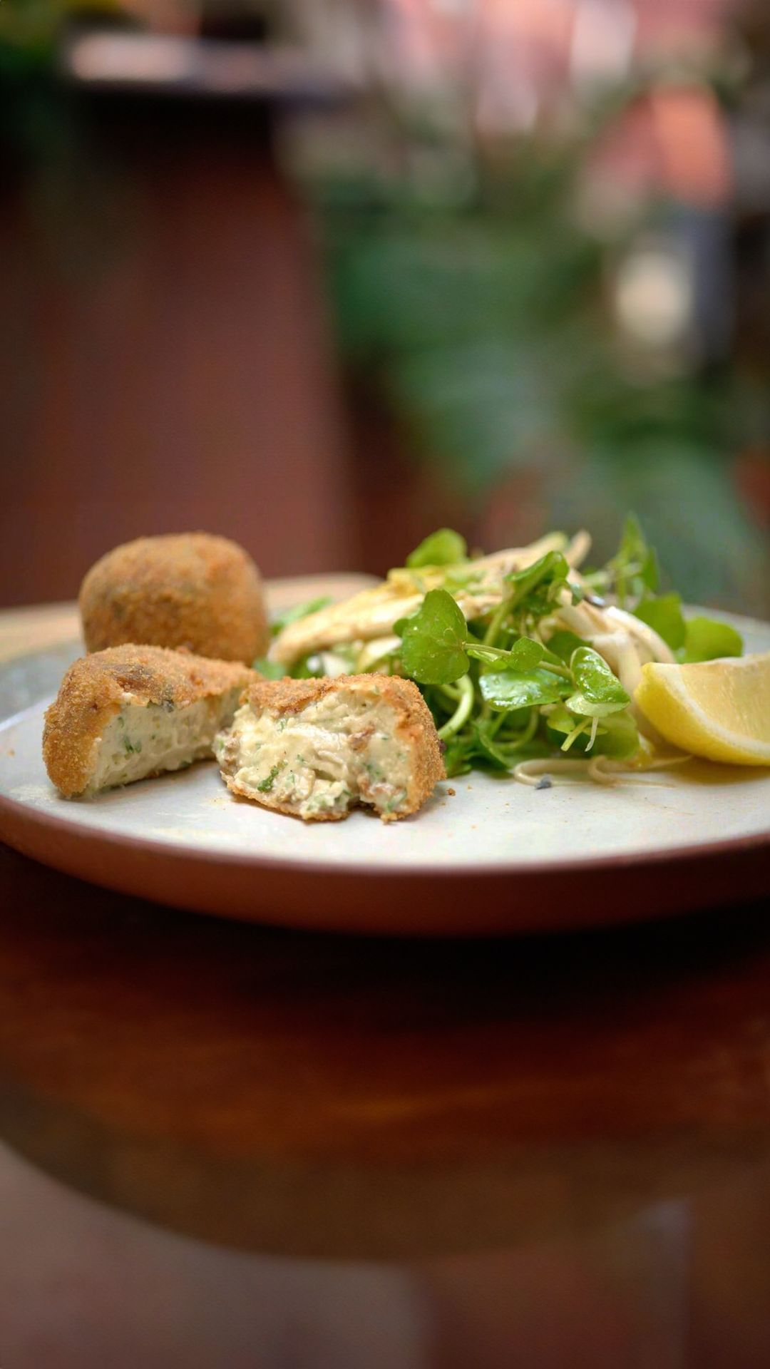 Champignon-kaaskroketten met witloofsalade