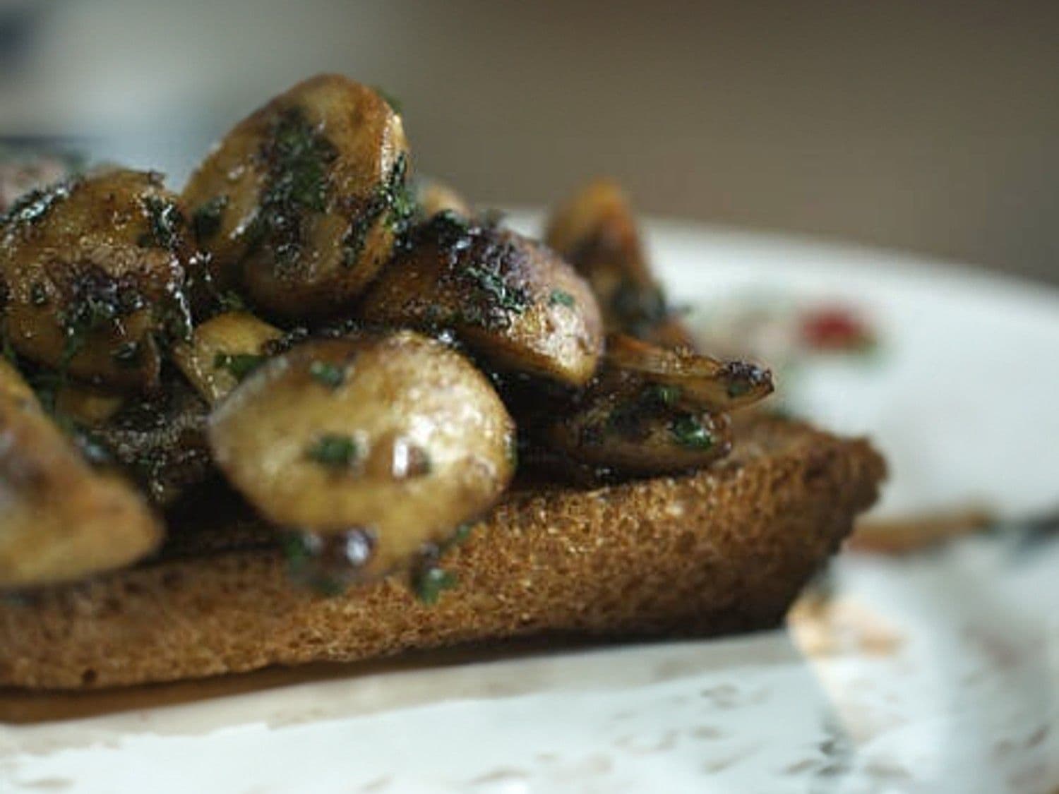 Toast champignon