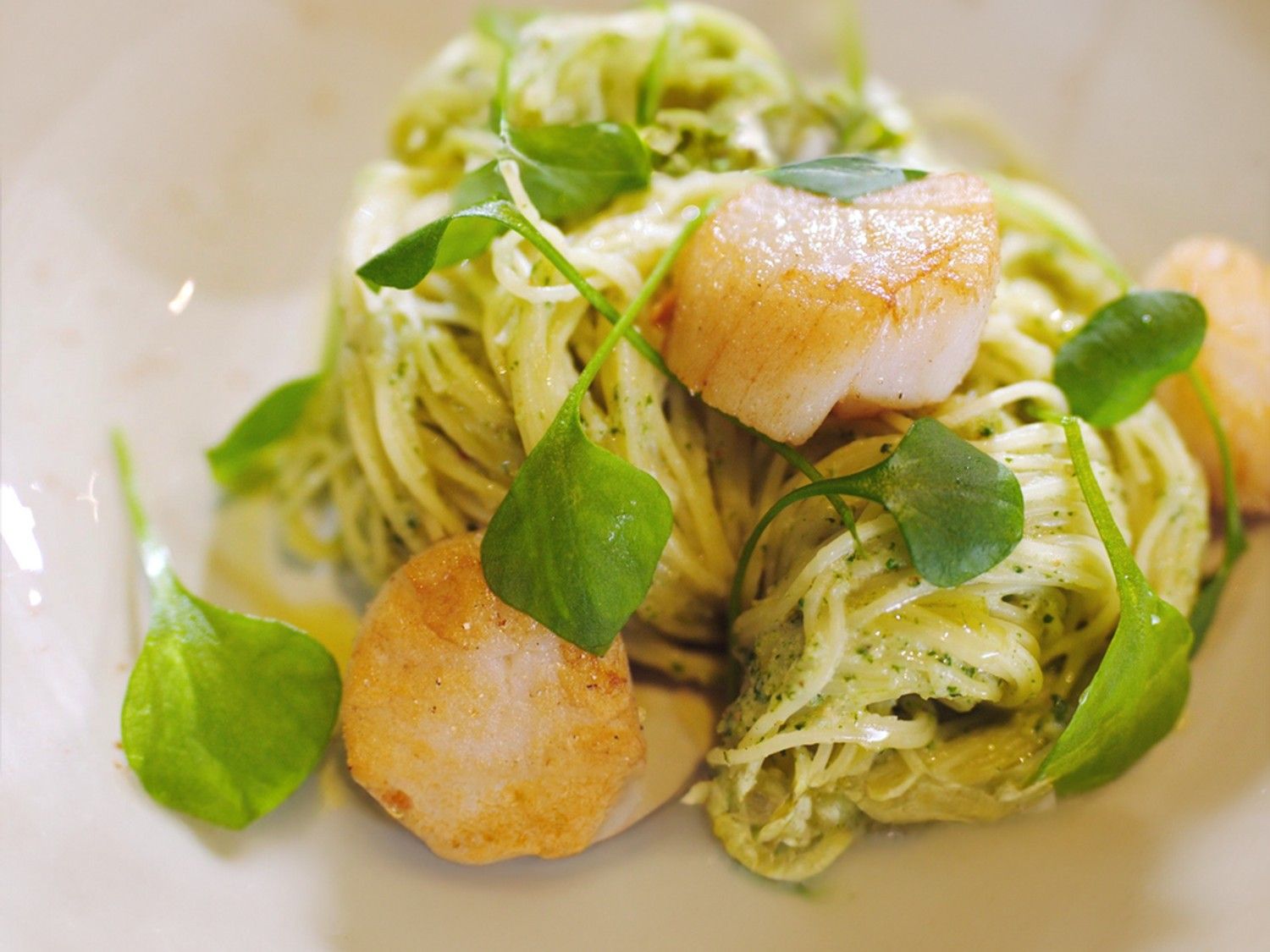 Sint-jakobsnoten met bloemkoolpesto