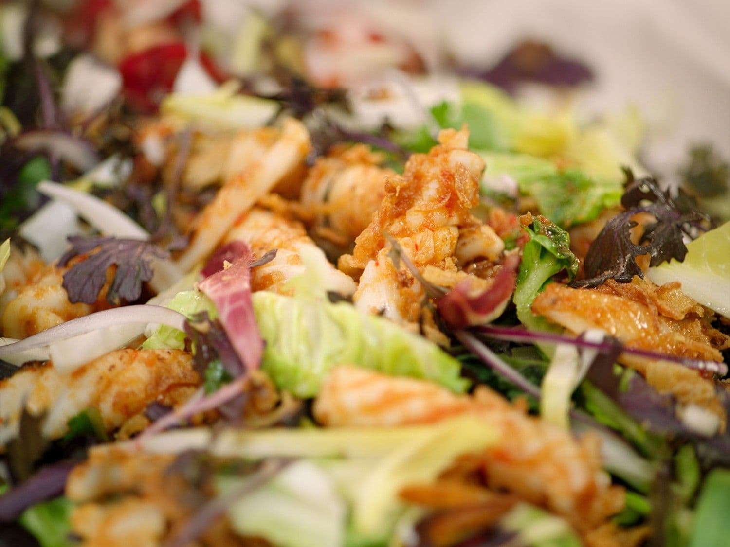 Salade met witloof en gebakken inktvis