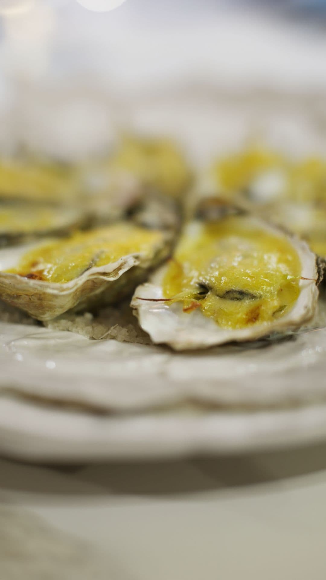 Gegratineerde oesters met gestoofde prei