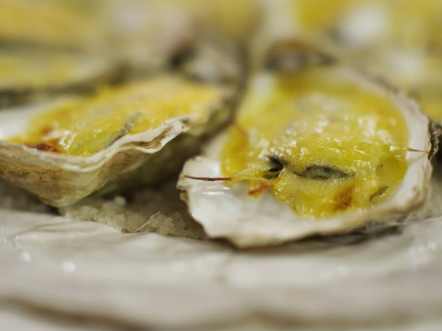 Gegratineerde oesters met gestoofde prei
