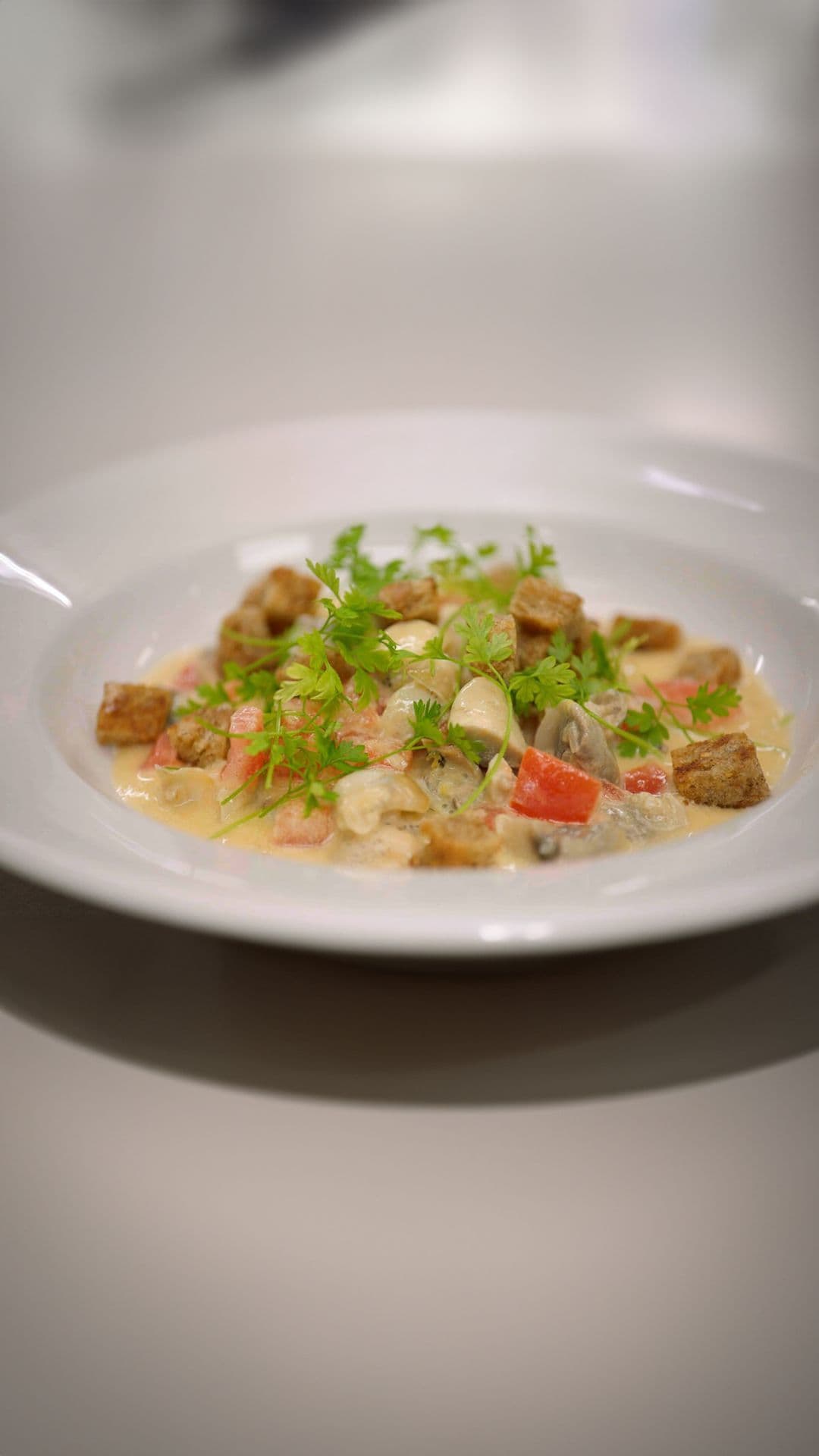 Fricassee met wulken
