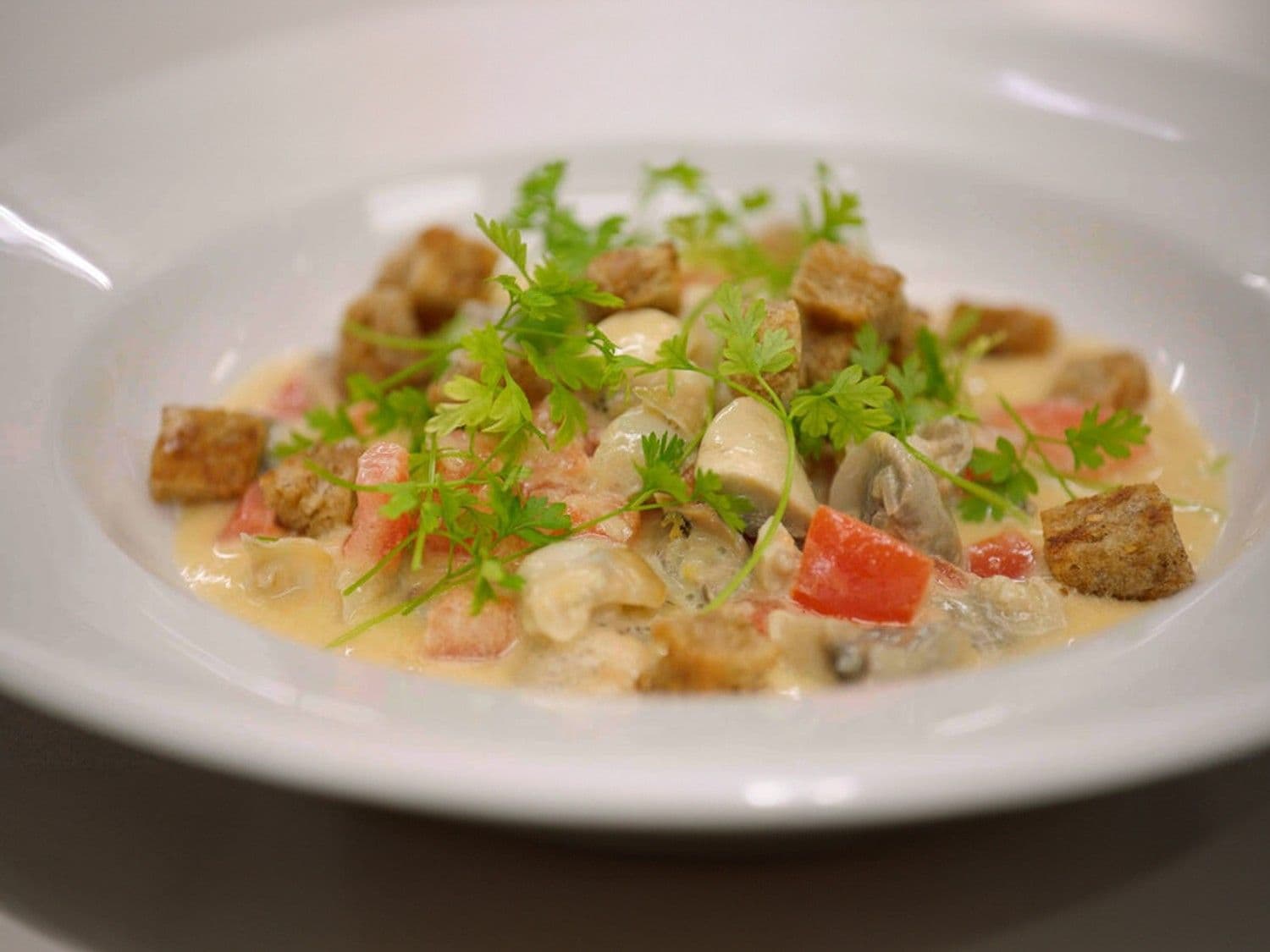 Fricassee met wulken
