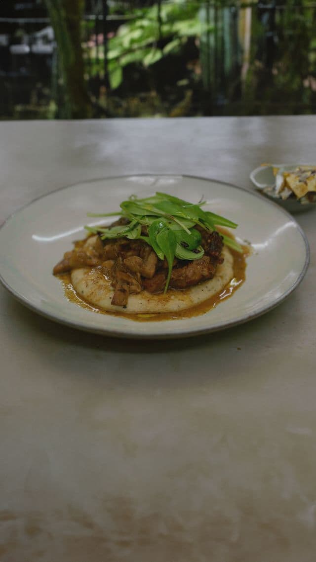 Kalfsschenkel met champignonsaus en truffelpolenta met veldsla