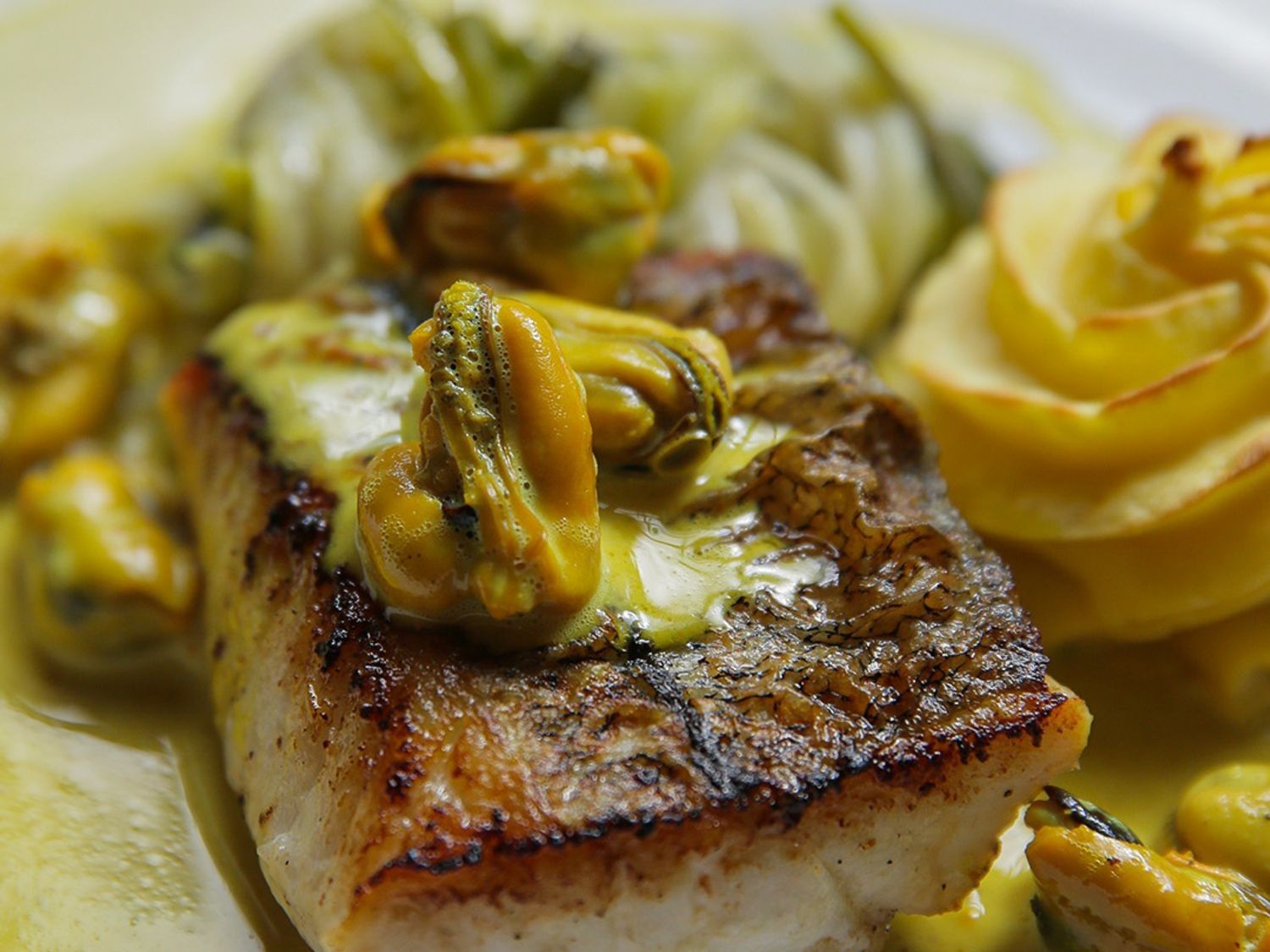 Gebakken schelvis met gestoofde prei, mosseljus met curry en pommes duchesse