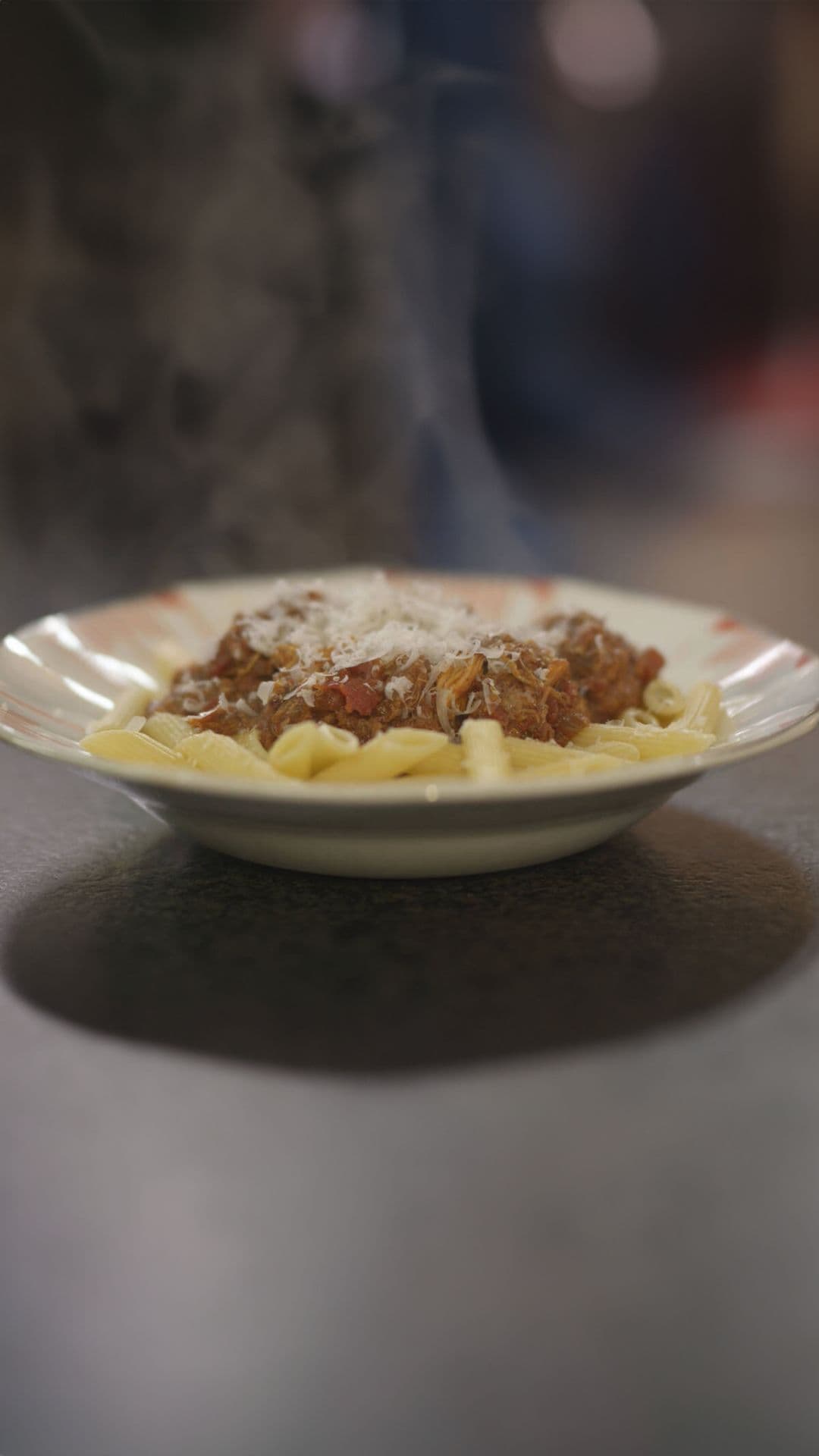 Ragout van konijn met penne