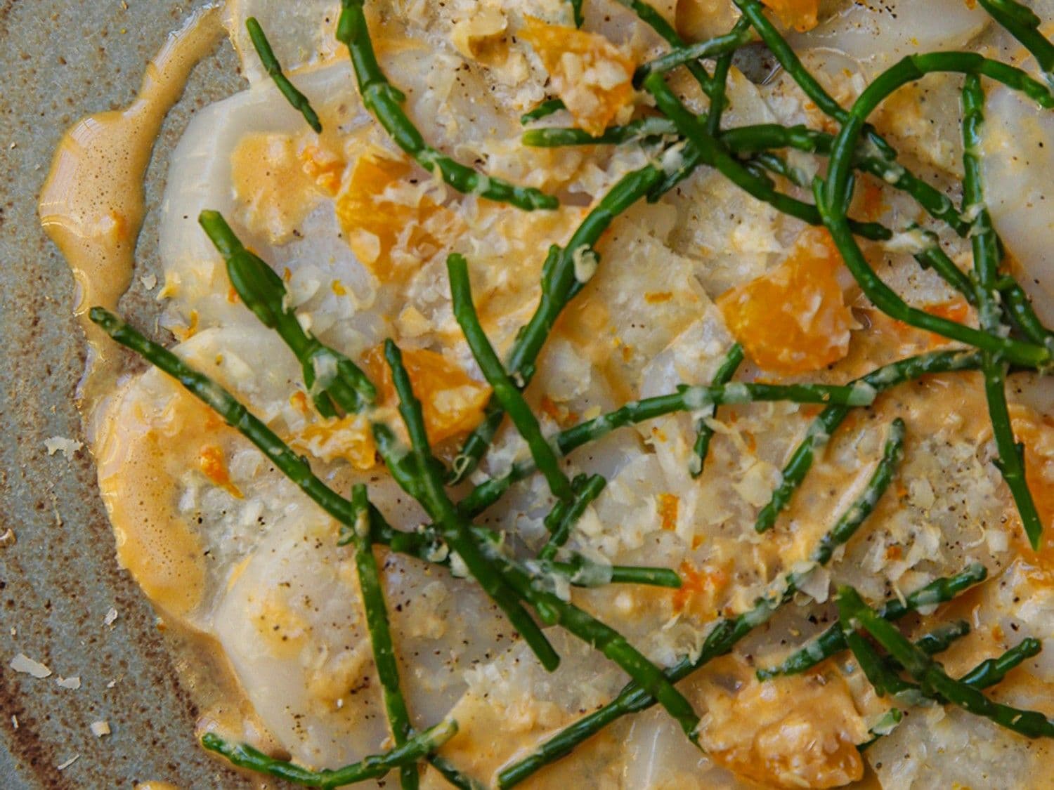 Carpaccio van coquilles met zeekraal en daikon