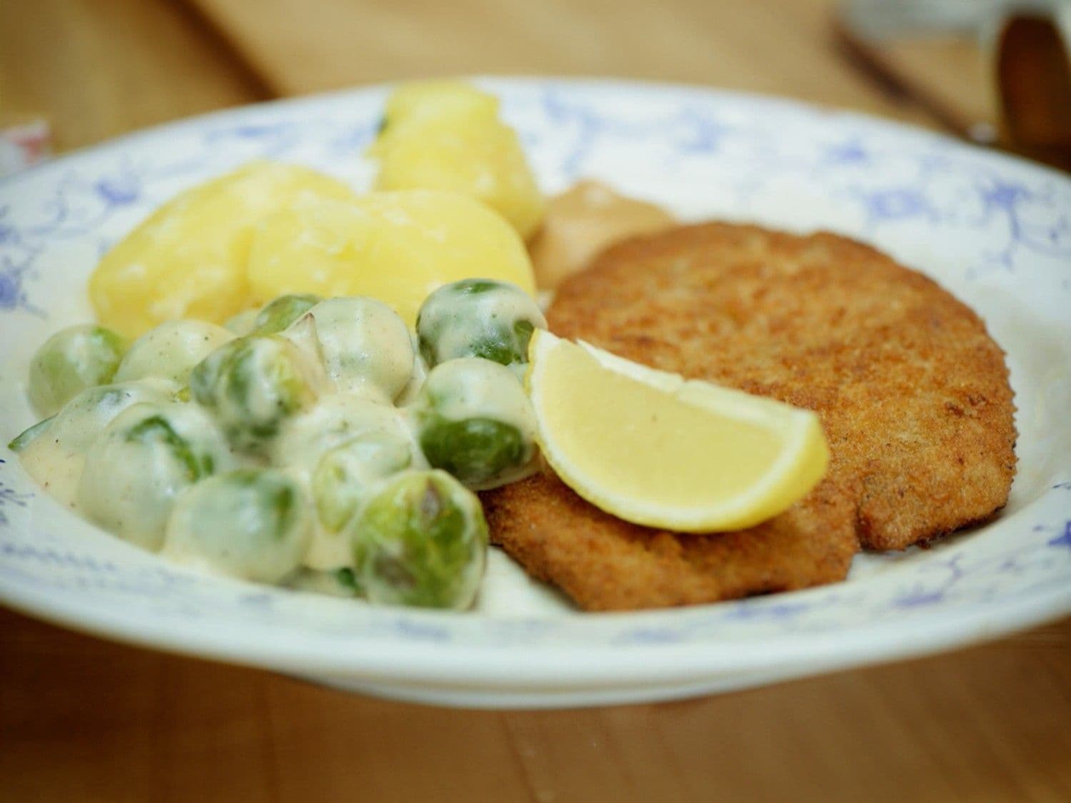Kalkoenschnitzel met spruitjes in kaassaus, gekookte aardappelen en mosterd
