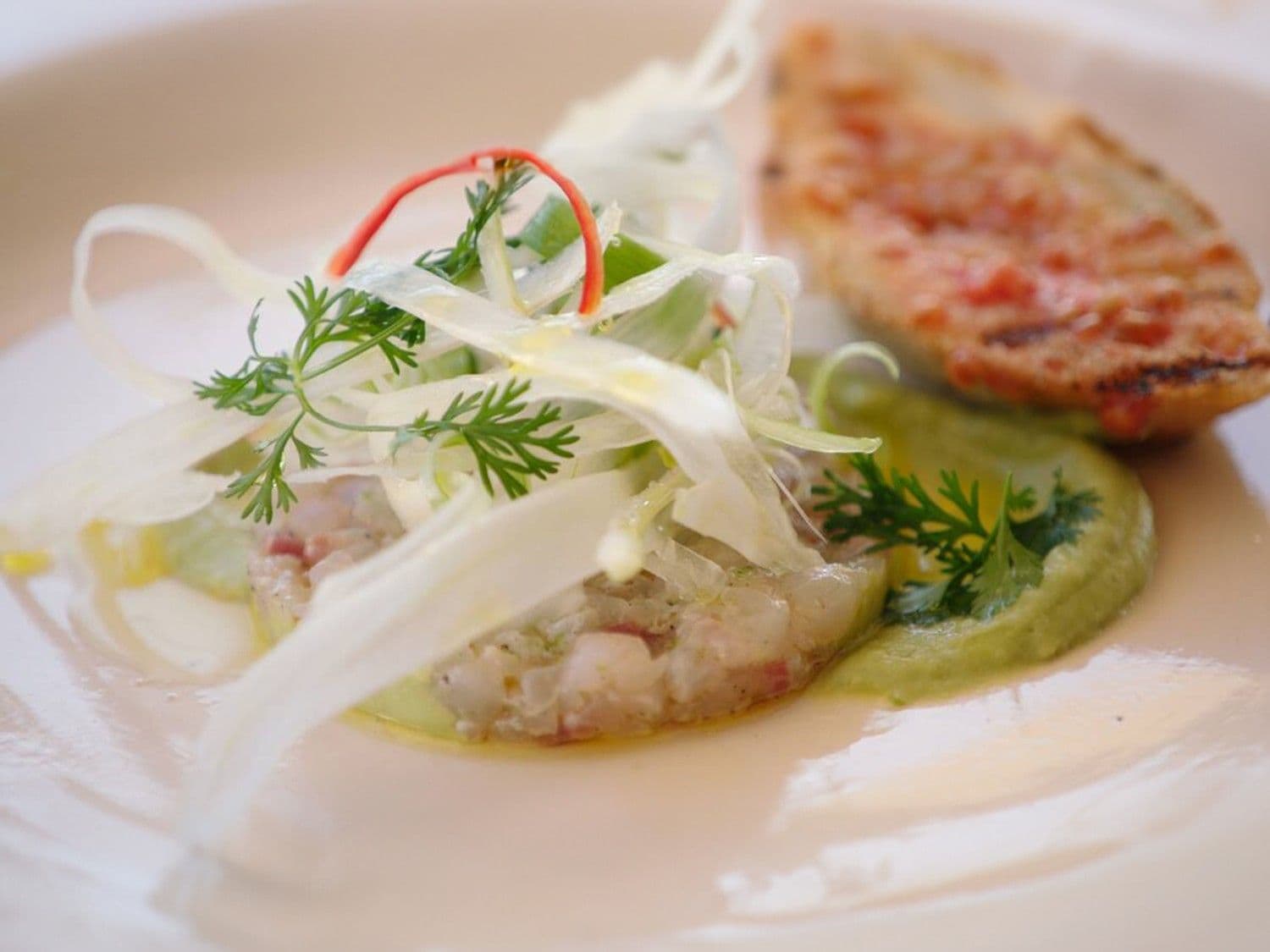 Tartaar van goudbrasem met venkelsalade en avocadocrème